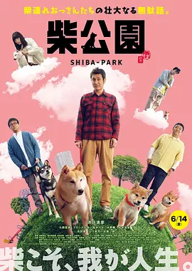 年轻的丈夫