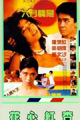 国产区成人精品视频