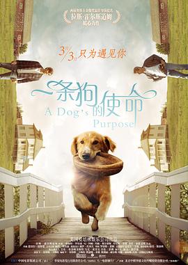 欧美深夜福利