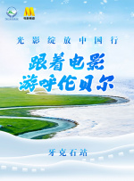 久久精品视频va