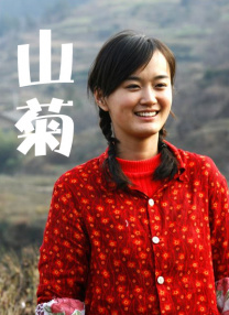 女刑警的调查方法