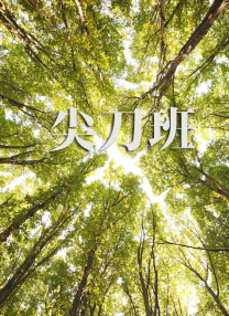 初爱av