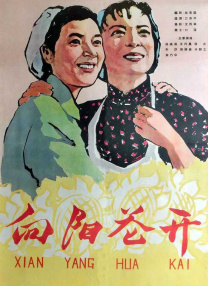 久久久久久免费视频