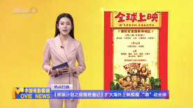 女警花沉沦在黑人胯下